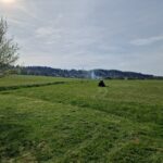 IMG_20240413_162534