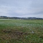 IMG_20240419_071754