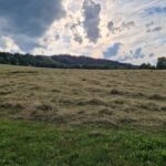 IMG_20240714_191436